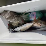 Sogno Azzurro - Al Centro Di - Stazione Prázdninový dům